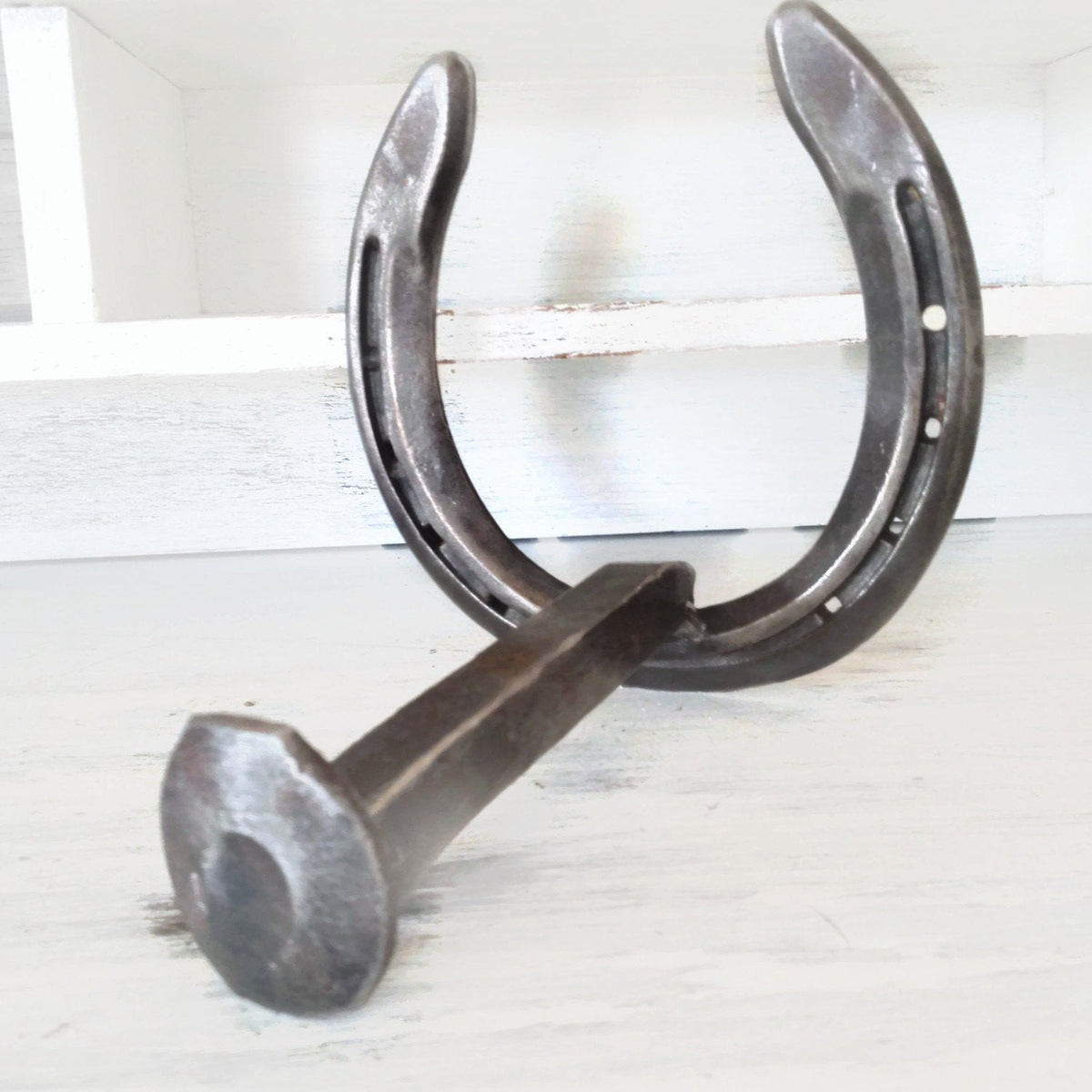 Rustic Horseshoe Cactus Hanger Hooks - The Heritage Forge